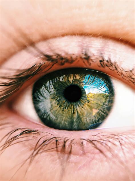 Browse 707,071 authentic eyes stock photos, high-res images, and pictures, or explore additional eye close up or abstract eye stock images to find the right photo at the right size and resolution for your project. . Eye stock photos
